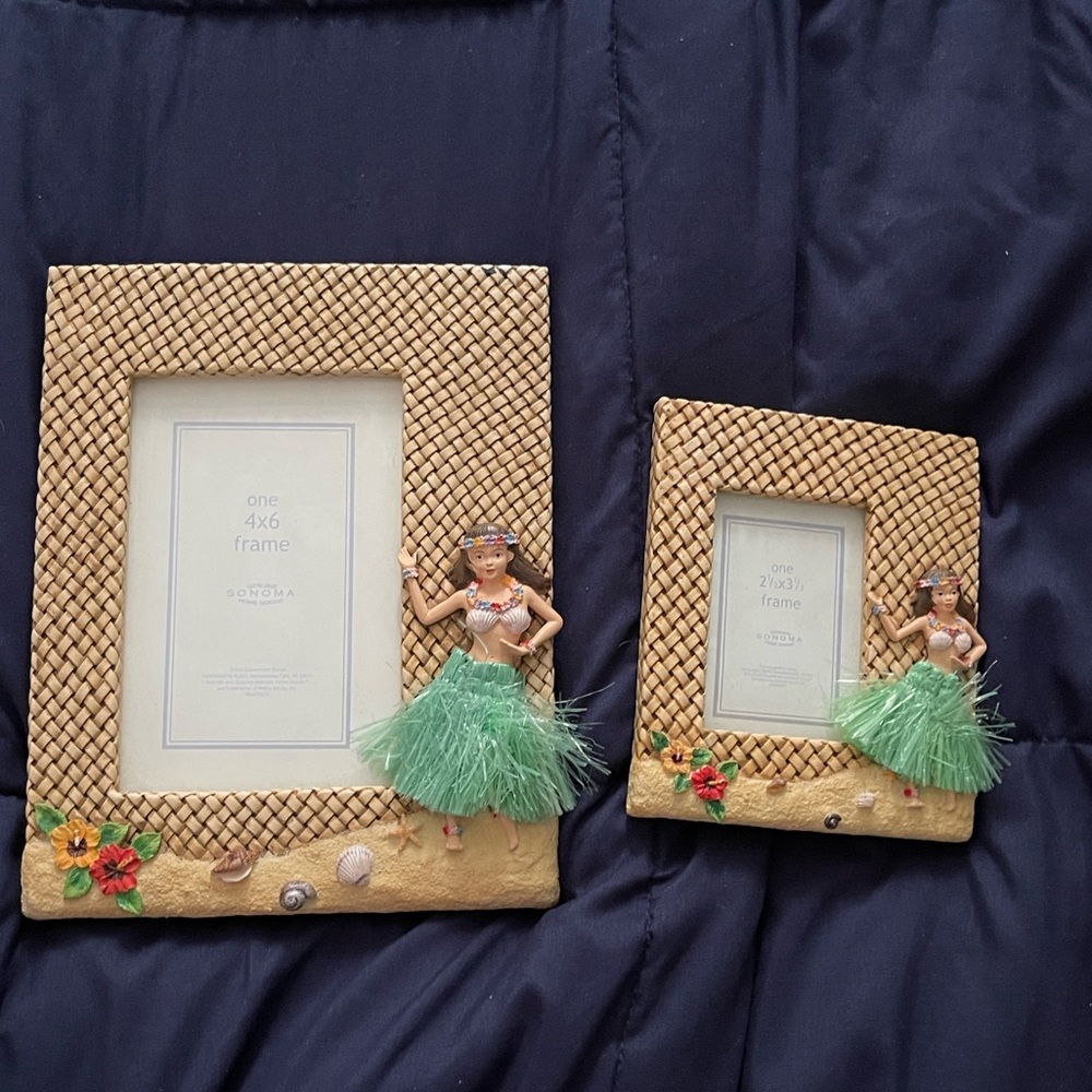 Sonoma Tropical Frames  with Green and Tan Details